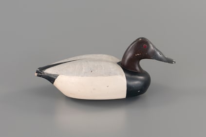 Rare Canvasback by Charles E. "Shang" Wheeler (1872-1949)