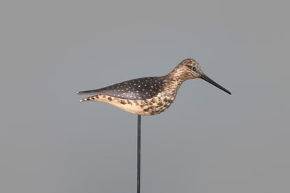 The McCleery Summer Yellowlegs by A. Elmer Crowell (1862-1952)