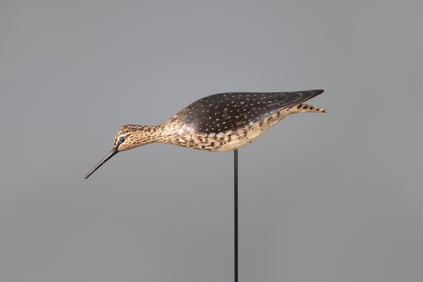 Running Yellowlegs by A. Elmer Crowell (1862-1952)