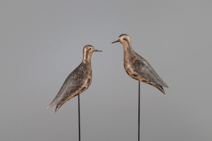 Folger Family Golden Plover Pair