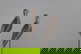 item-209068498=3