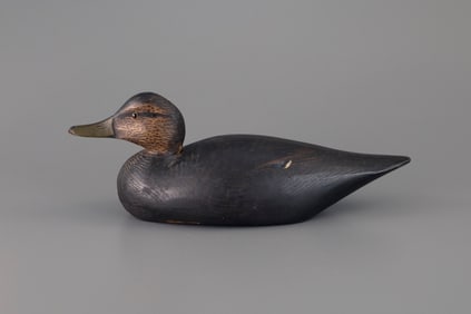 Early Black Duck by A. Elmer Crowell (1862-1952)