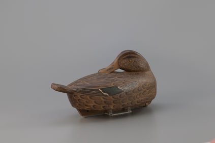 Sleeping Mallard Hen by Ralf Coykendall Sr. (1890-1968)