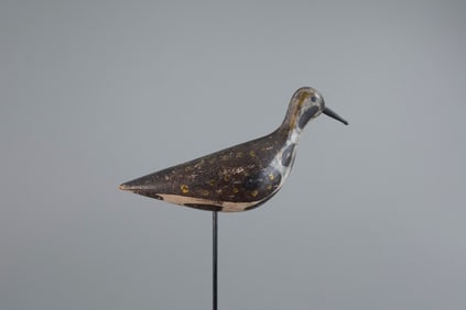 Golden Plover by Parker Hall