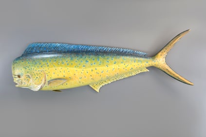 Mahi-Mahi by Mike Borrett (b. 1960)