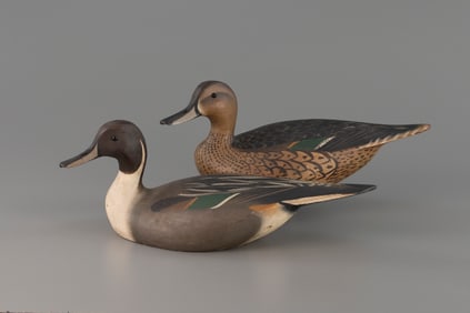 Outstanding Purnell Pintail Pair by The Ward Brothers
