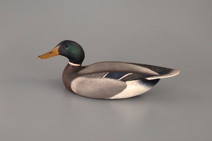 VL&A Mallard Drake by The Ward Brothers