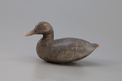 Rare Blue-Winged Teal attributed to Captain Ben Dye (1821-1896)
