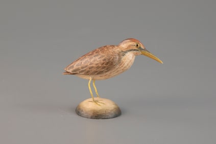 Miniature Bittern by Frank S. Finney (b. 1947)