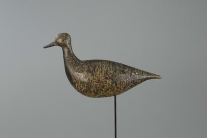 Early Golden Plover by John Henry Verity (1788-1866)