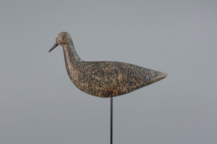 Early Golden Plover by John Henry Verity (1788-1866)