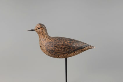 O'Brien Gelston Plover by Thomas H. Gelston (1851-1924)