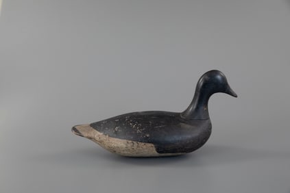 Outstanding Swimming Brant by Smith Clinton Verity (1845-1920)