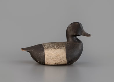 Verity Bluebill
