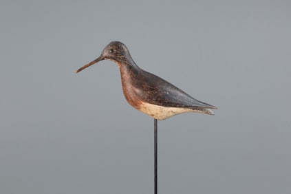 Colio Dowitcher by Charles Sumner Bunn (1865-1952)
