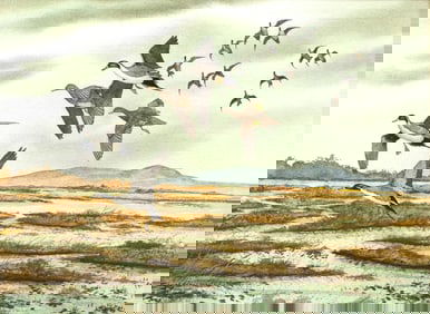 David A. Hagerbaumer (1921-2014), Short Grass Marsh