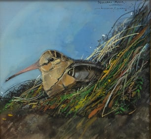 Nicholas Coleman (b. 1978), Scolopax Minor, Woodcock