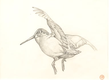 George Browne (1918-1958), Woodcock