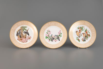 Eleven Avian Plates