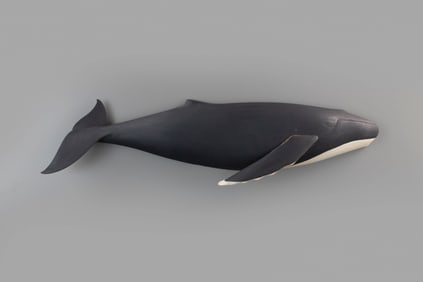 Humpback Whale by Colin S. McNair (b. 1986)