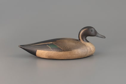 Pintail by Mark S. McNair (b. 1950)