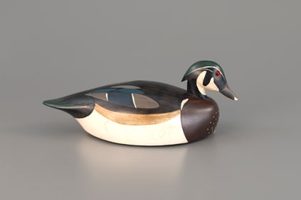Wood Duck by Ken Harris
