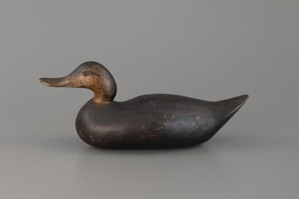 Challenge-Grade Black Duck by Mason Decoy Factory (1896-1924)