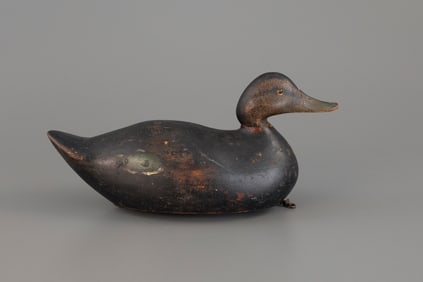 Early Premier-Grade Black Duck by Mason Decoy Factory (1896-1924)