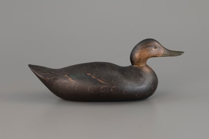 Challenge-Grade Black Duck by Mason Decoy Factory (1896-1924)