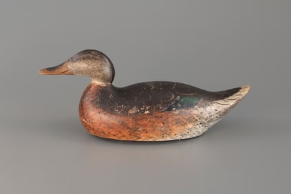 Premier-Grade Mallard Hen by Mason Decoy Factory (1896-1924)