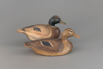 Mallard Pair by William Goetz