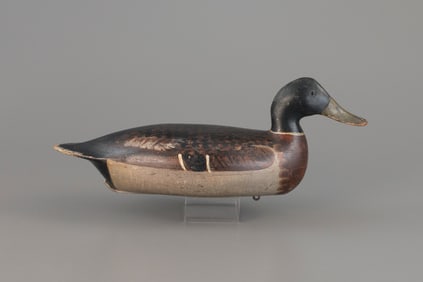 Mallard Drake by Bert Graves (1880-1956)
