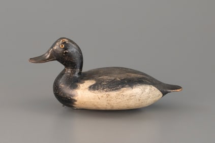 Bluebill Drake by Robert Elliston (1847-1925)