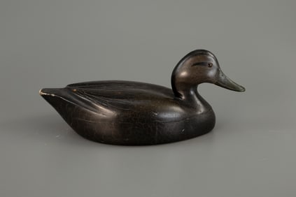 Black Duck, Nichol Family