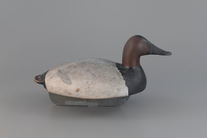 Canvasback by Ferdinand Bach (1888-1967)