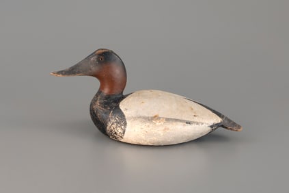 Canvasback by The Ward Brothers