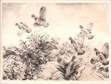 Aiden Lassell Ripley (1896-1969), Quail