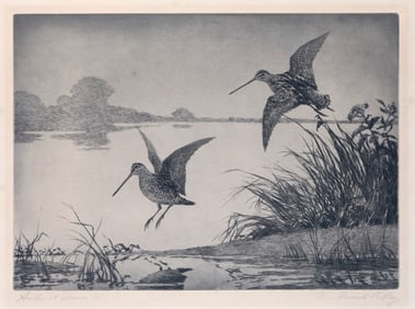 Aiden Lassell Ripley (1896-1969), Snipe at Dawn