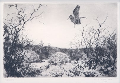 Aiden Lassell Ripley (1896-1969), Woodcock