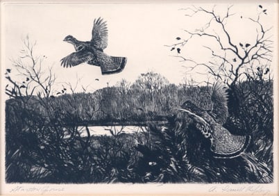 Aiden Lassell Ripley (1896-1969), Startled Grouse