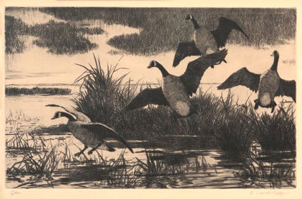 Aiden Lassell Ripley (1896-1969), Geese