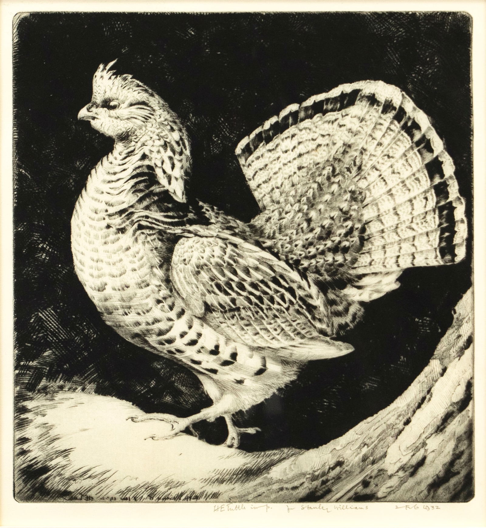 Henry Emerson Tuttle (1890-1946), Ruffed Grouse (1 of 3)