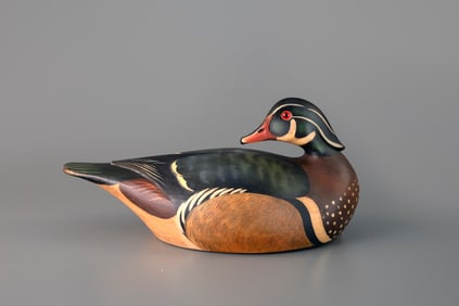 Preening Wood Duck by Josh Brewer (b. 1982)