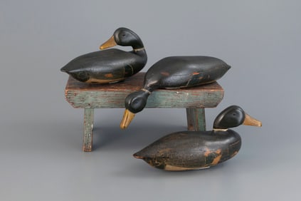 Mallard Trio