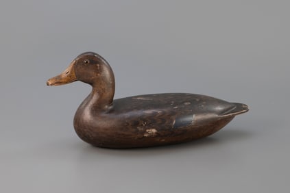 Mallard Hen by Charles Walker (1873-1954)