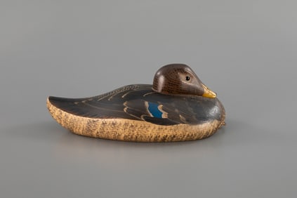 Tucked-Head Mallard Hen by Austin Johnson