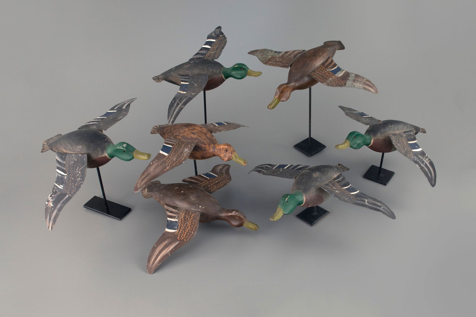 Seven Flying Mallards Decoy (1 of 4)