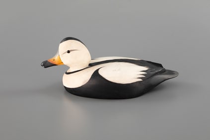 Labrador Duck by Davey W. Nichol (1890-1977)