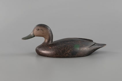 Black Duck by Davey W. Nichol (1890-1977)