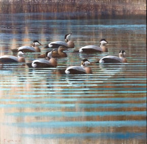 Ewoud de Groot (b. 1969), Eiders